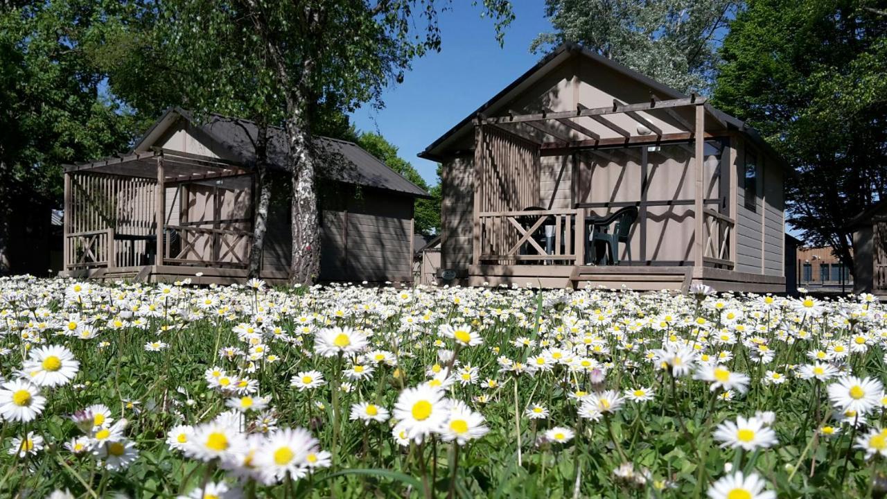 Camping Onlycamp Tours Val De Loire 圣阿韦尔坦 外观 照片