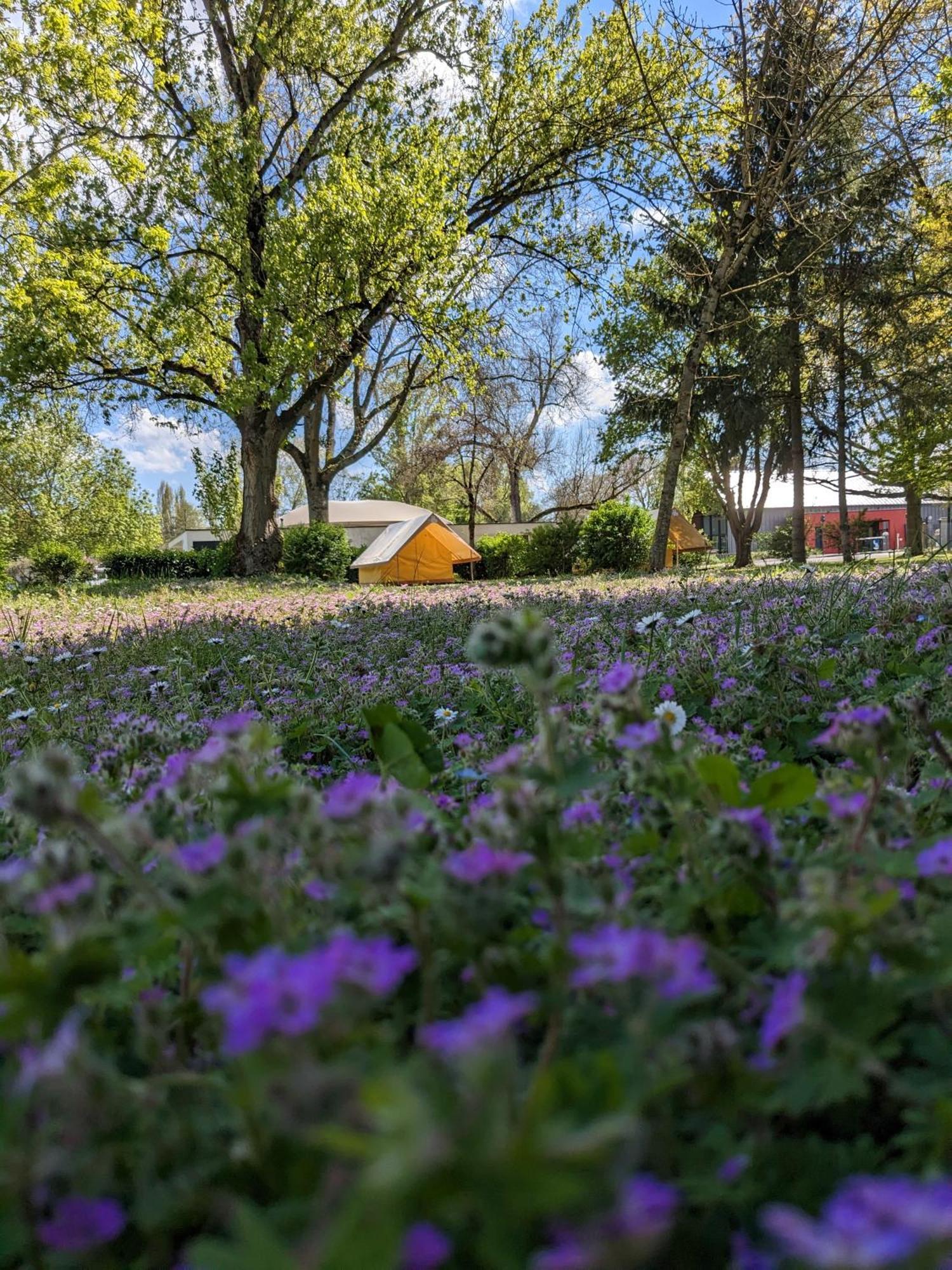 Camping Onlycamp Tours Val De Loire 圣阿韦尔坦 外观 照片